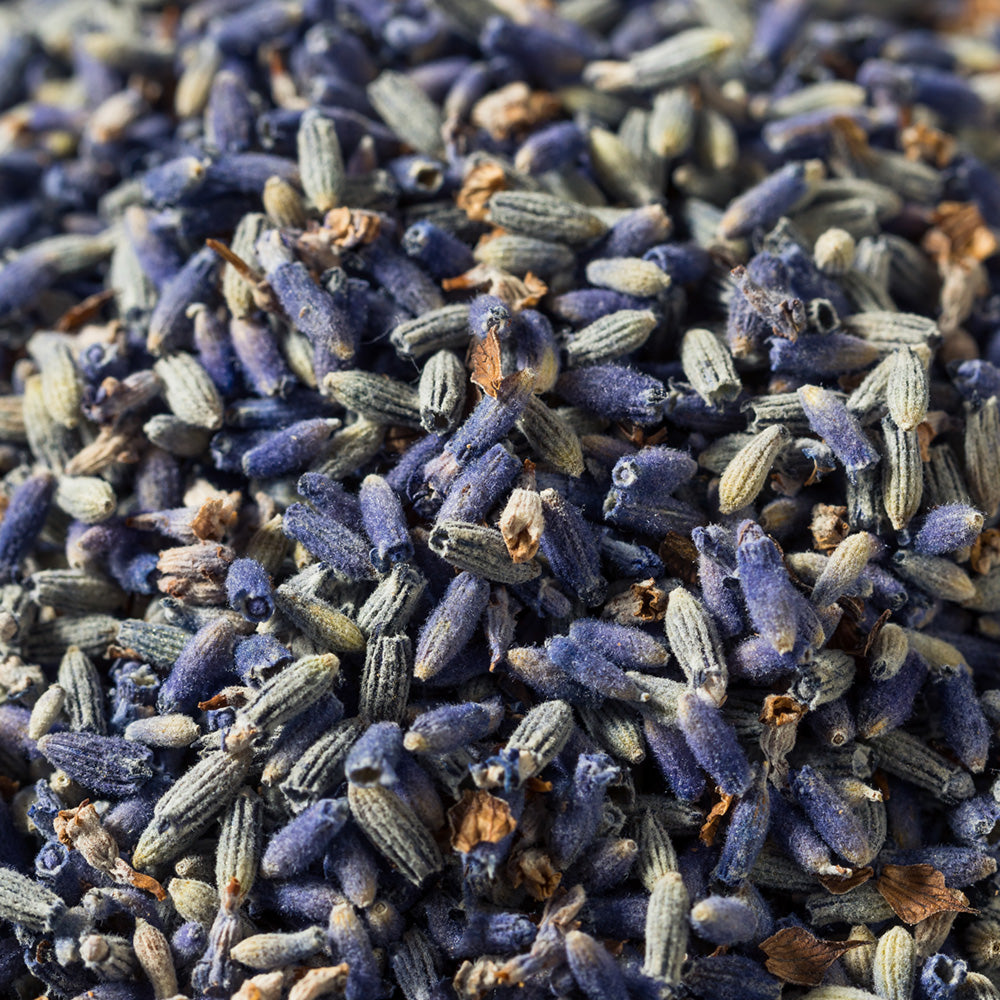 Lavendar