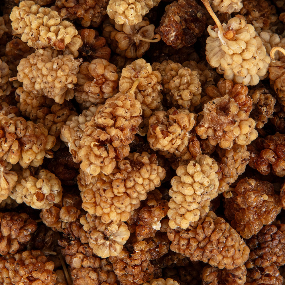 Mulberries (seasonal)