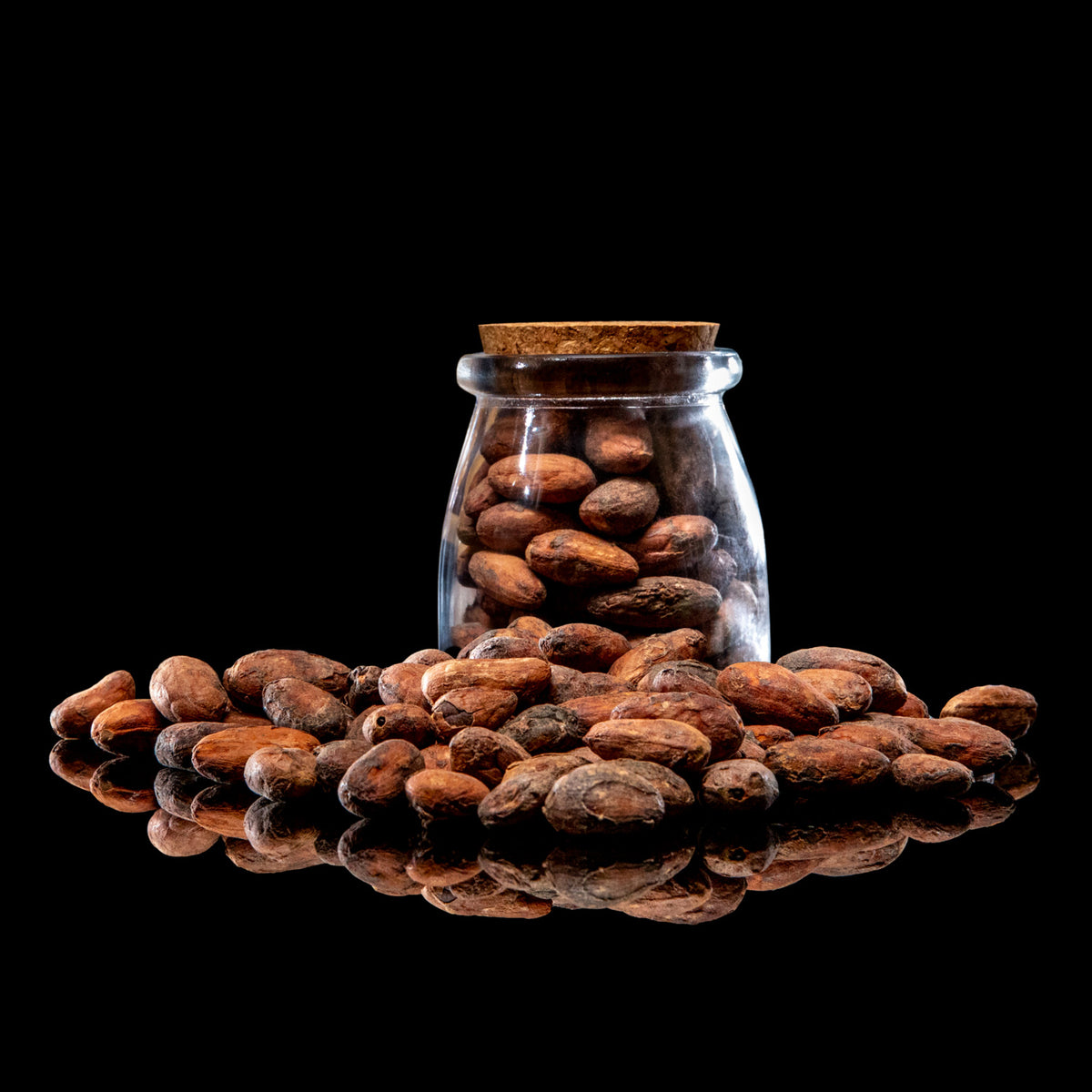 Raw Ceremonial Cacao Beans - 4 oz