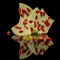 White Chocolate Bark Box - Matcha + Goji